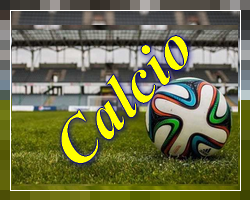 Gestione gioco calcio